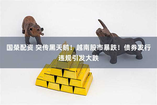 国榮配资 突传黑天鹅！越南股市暴跌！债券发行违规引发大跌