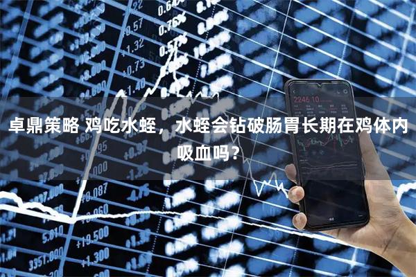 卓鼎策略 鸡吃水蛭，水蛭会钻破肠胃长期在鸡体内吸血吗？